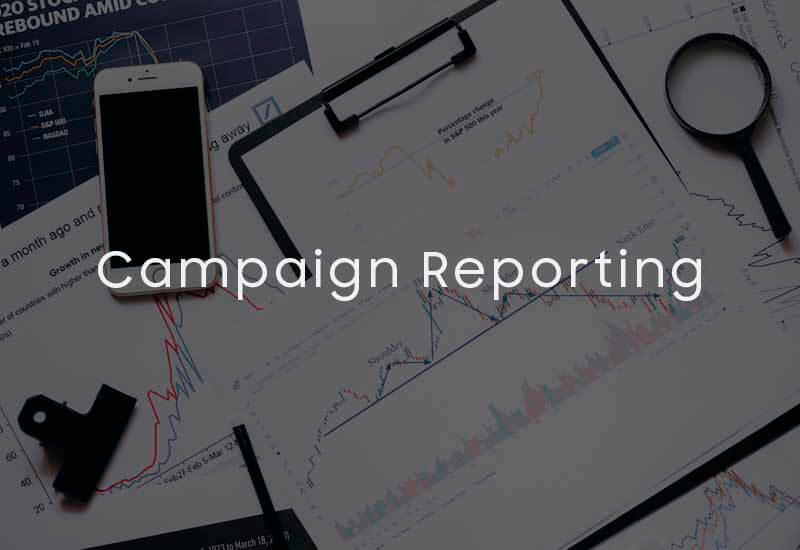 Campaign Reporting Service - IdeonovoIT