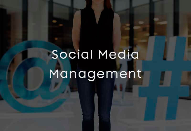 Social Media Management Service - IdeonovoIT